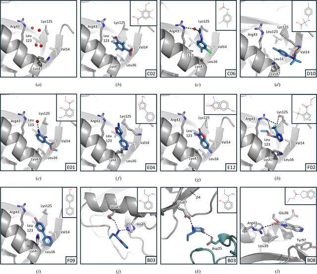 [Figure 6]