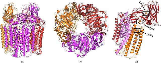 [Figure 1]