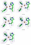 [Figure 4]