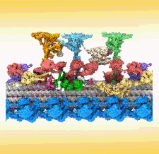 Highlighted illustration