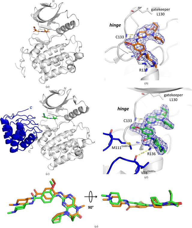 [Figure 5]