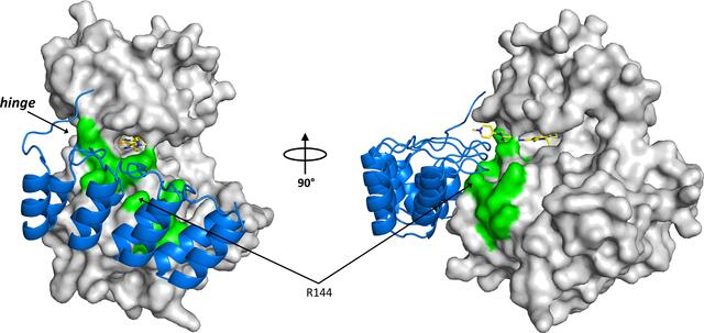 [Figure 7]
