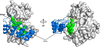 [Figure 7]
