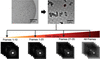 [Figure 1]