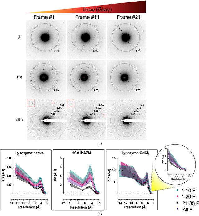 [Figure 2]