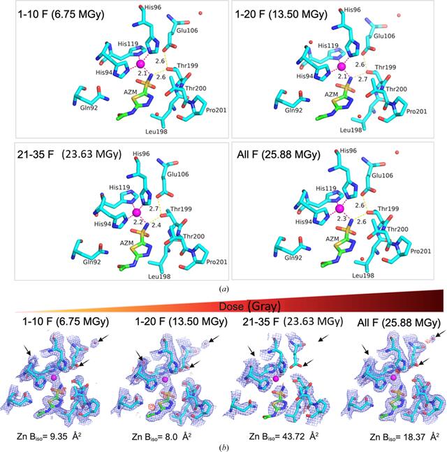 [Figure 6]