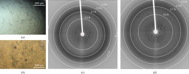 [Figure 1]