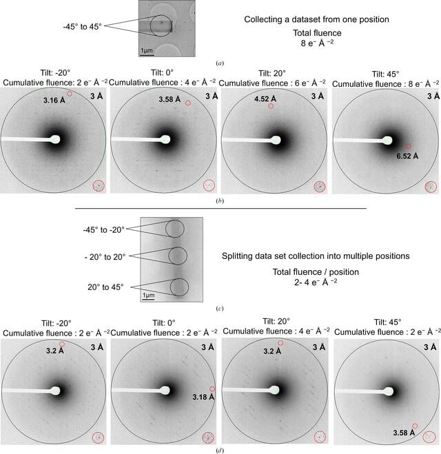 [Figure 3]