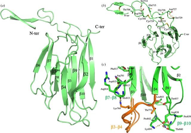 [Figure 1]