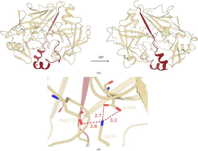 [Figure 1]