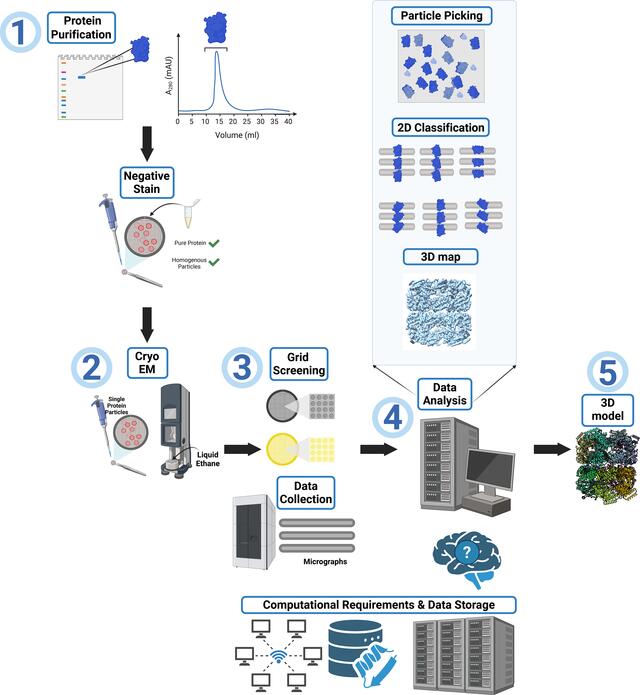 [Figure 1]