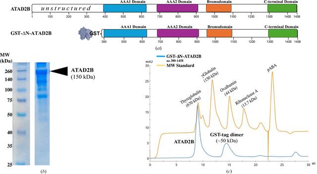 [Figure 2]