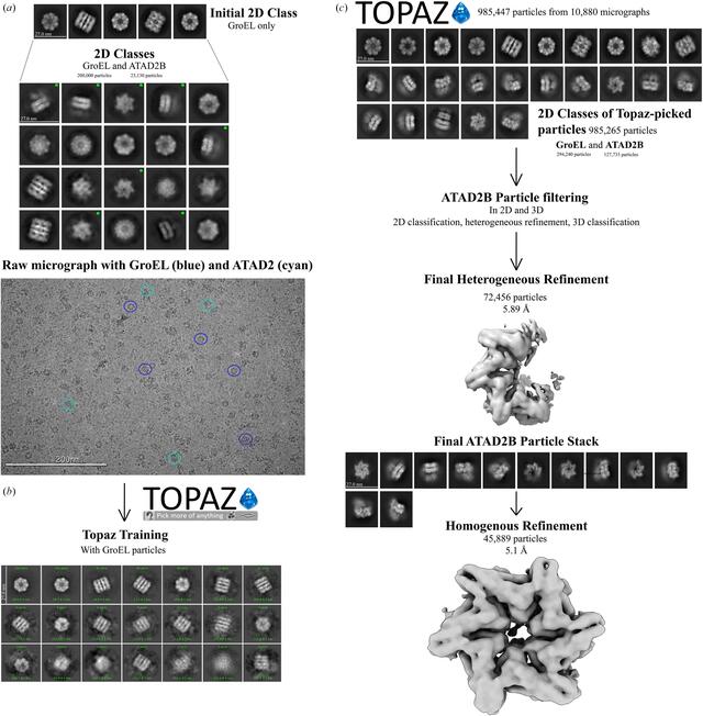 [Figure 3]