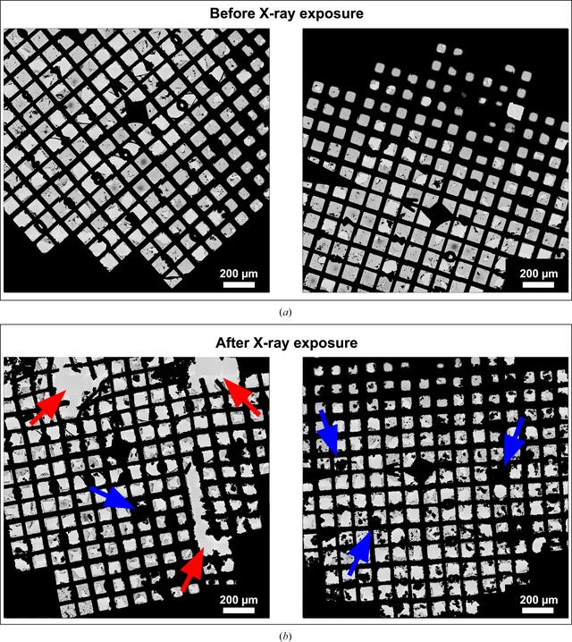 [Figure 2]