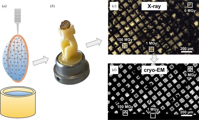 [Figure 3]