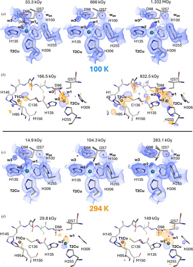 [Figure 5]