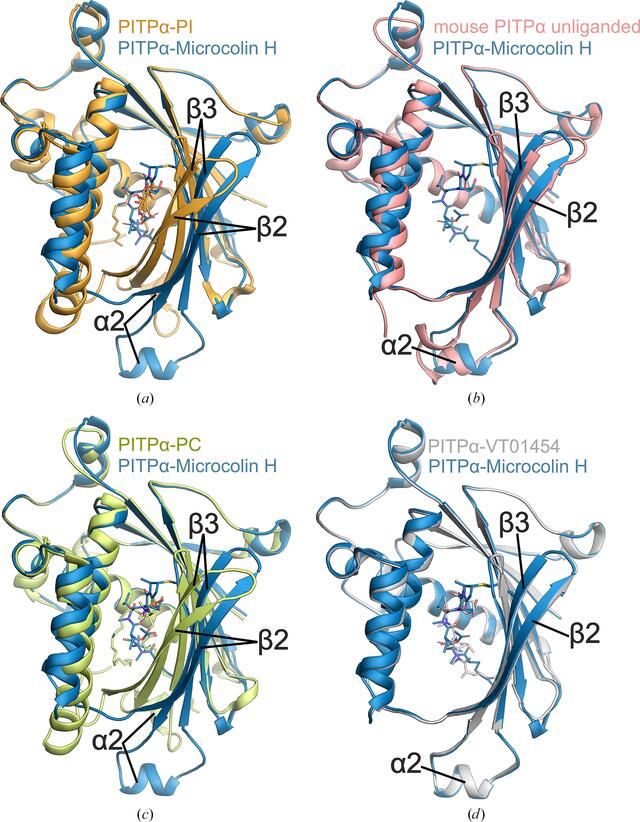 [Figure 3]