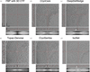 [Figure 1]