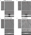 [Figure 4]