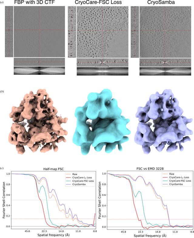 [Figure 6]