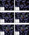 [Figure 2]
