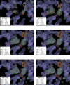 [Figure 3]