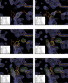 [Figure 4]