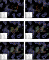 [Figure 5]