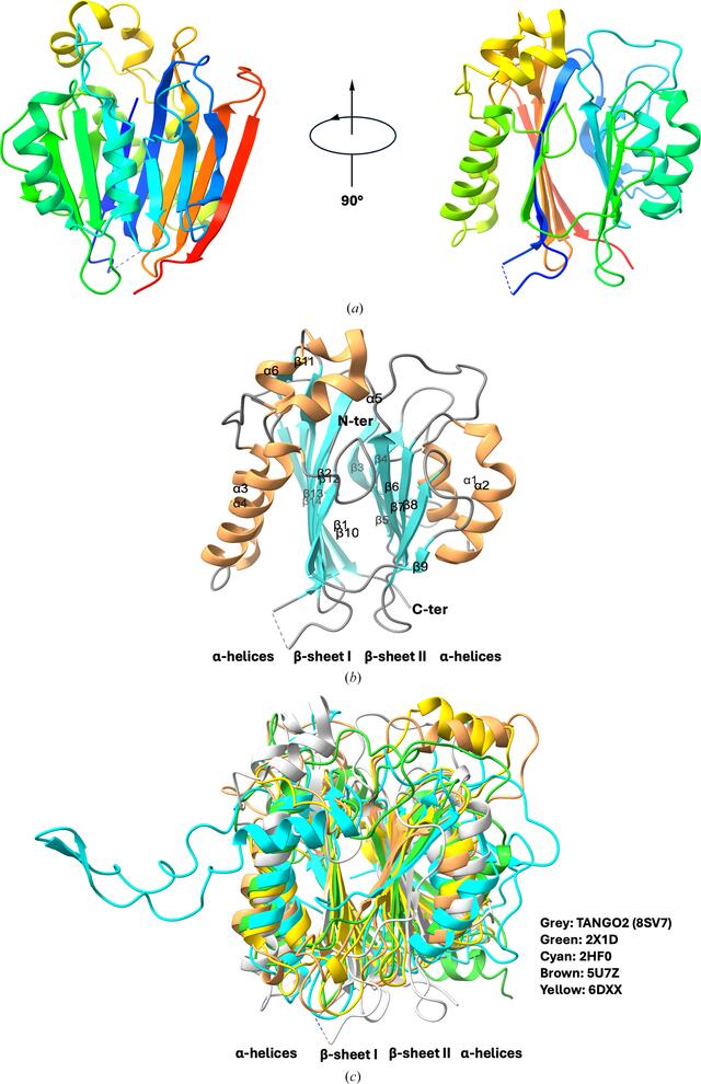 [Figure 1]