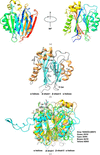 [Figure 1]