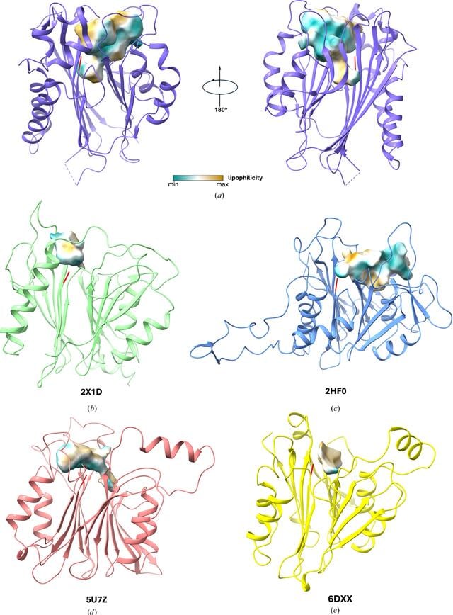 [Figure 4]