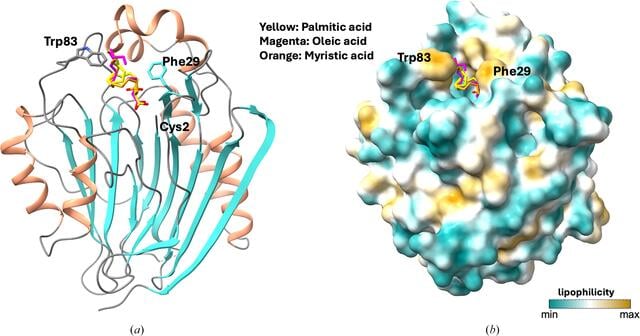 [Figure 5]