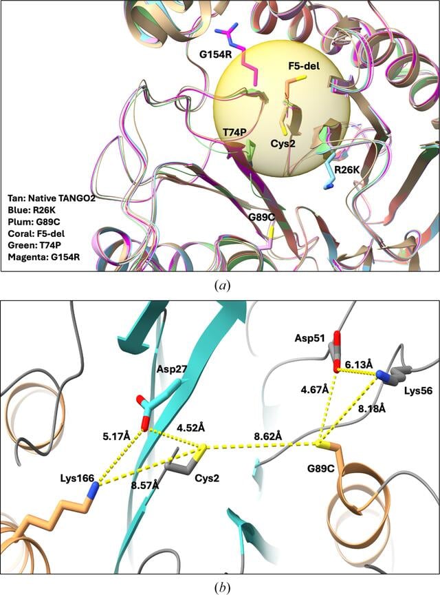 [Figure 6]
