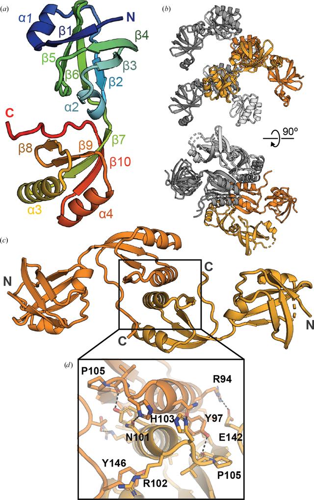 [Figure 1]