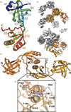 [Figure 1]