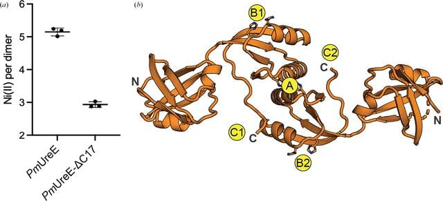 [Figure 3]