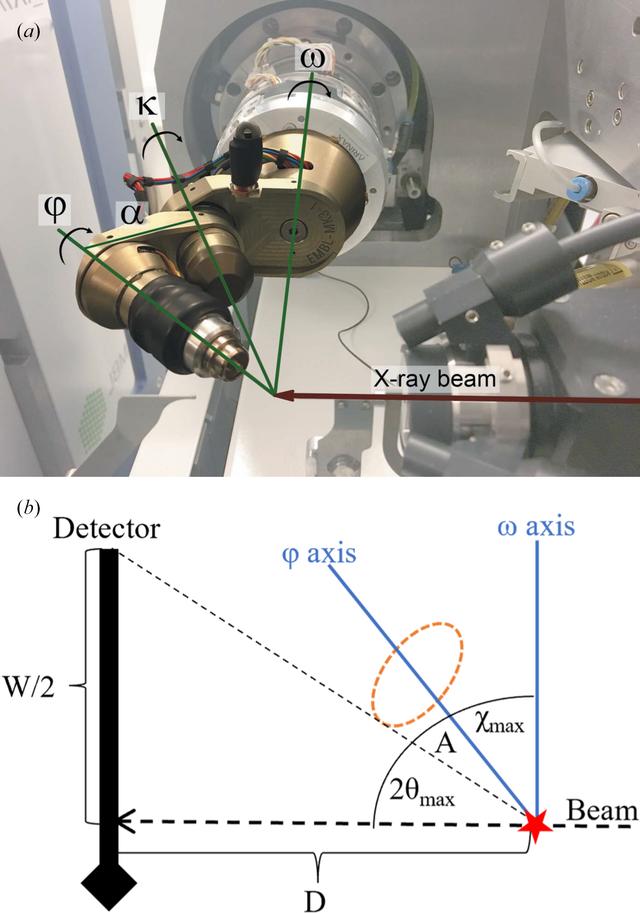 [Figure 6]
