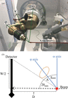 [Figure 6]