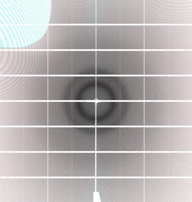 [Figure 7]