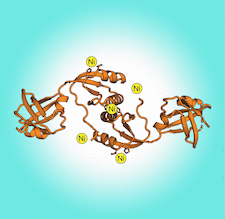 Highlighted illustration