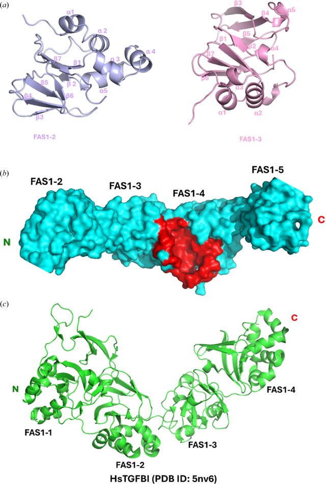 [Figure 2]