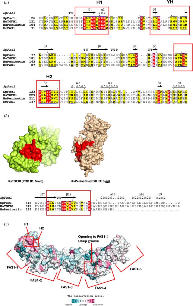 [Figure 4]