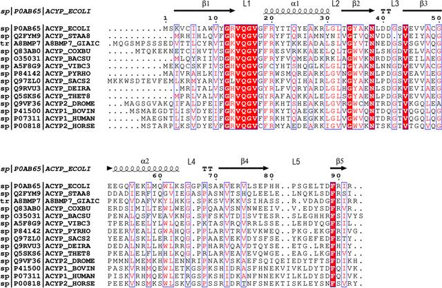 [Figure 1]