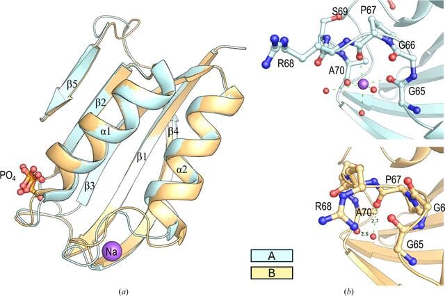 [Figure 2]