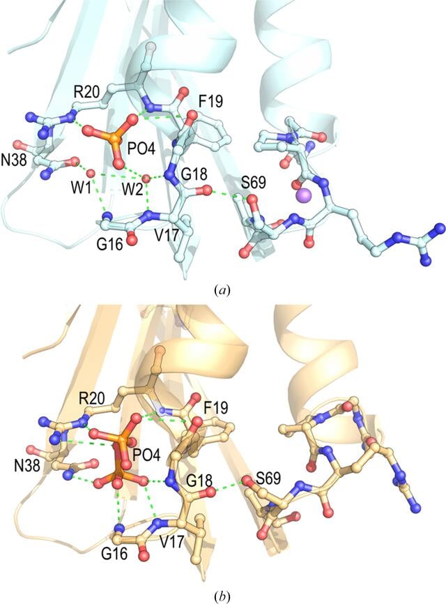 [Figure 3]