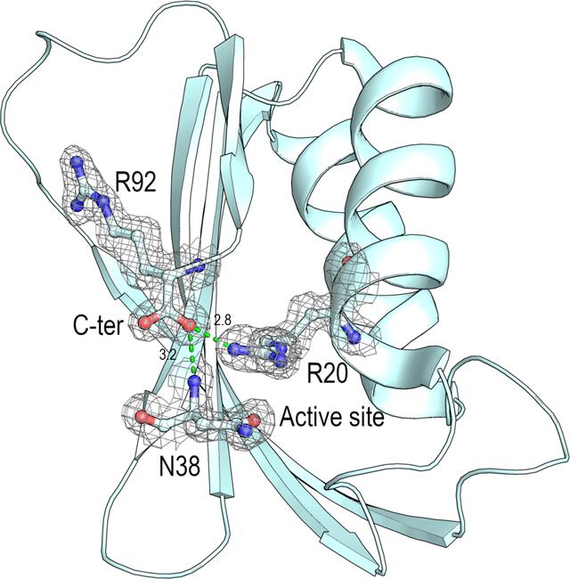 [Figure 4]