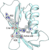 [Figure 4]