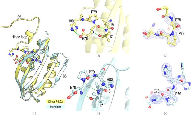 [Figure 5]