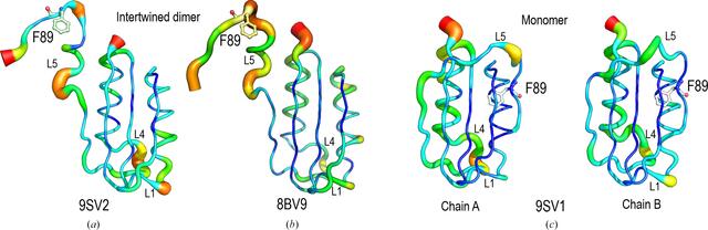[Figure 6]