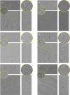 [Figure 10]